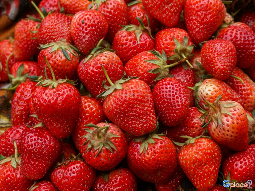 เมืองลี่เจียง