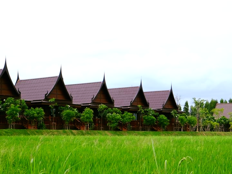 ครัวกางนา