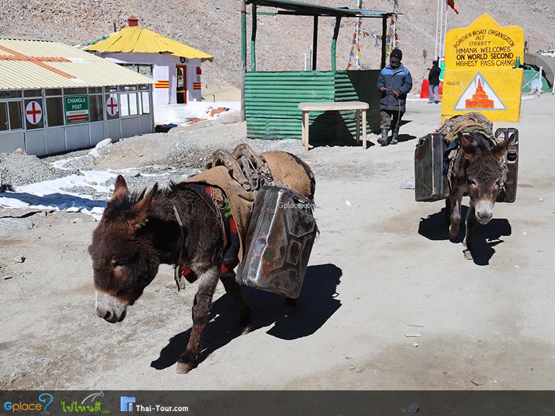 ชาง ลา ChangLa Pass