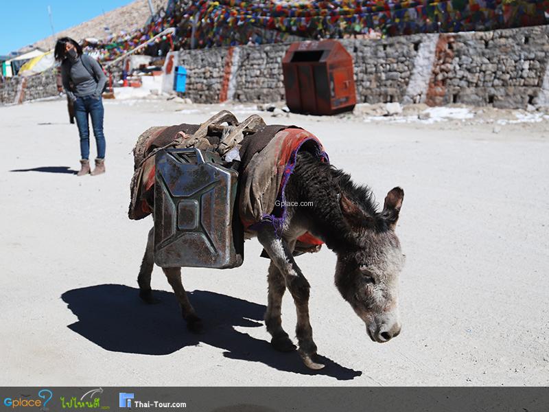 ชาง ลา ChangLa Pass