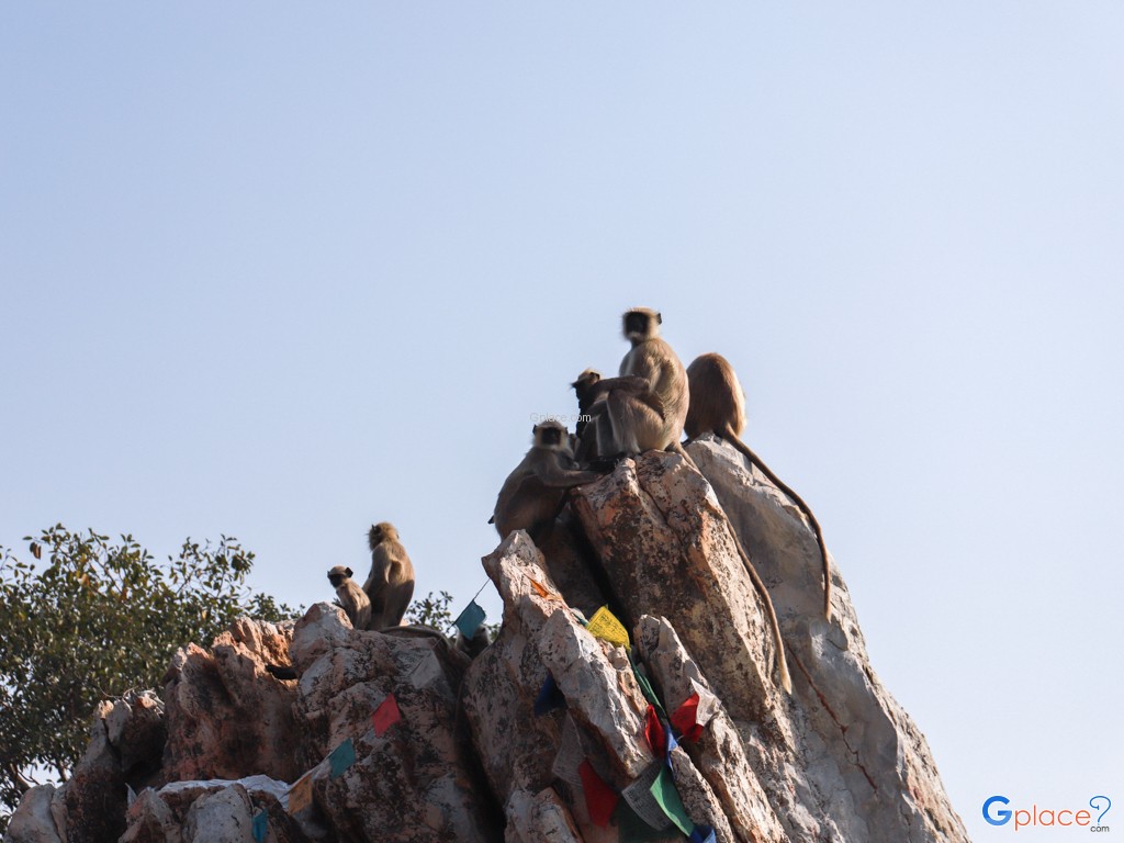 Mulagandhakuti Vulture Peak
