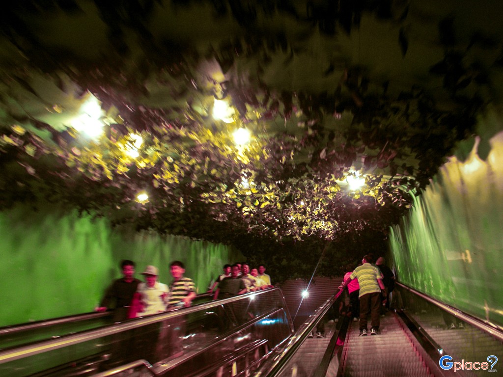 อุโมงค์ชมวิวเดอะบันด์