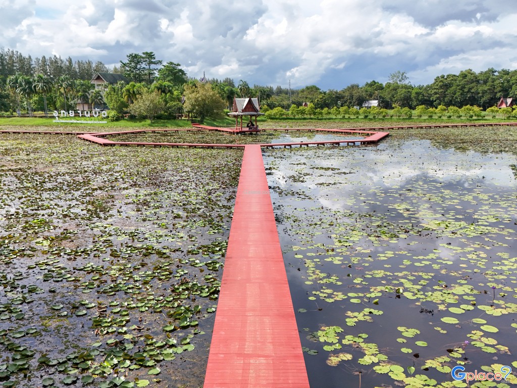 อุทยานบัว