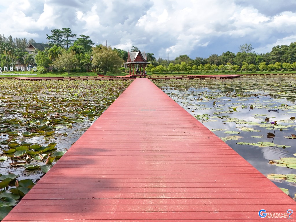 อุทยานบัว