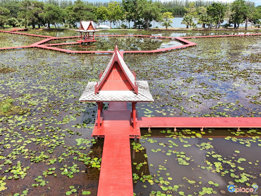 อุทยานบัว