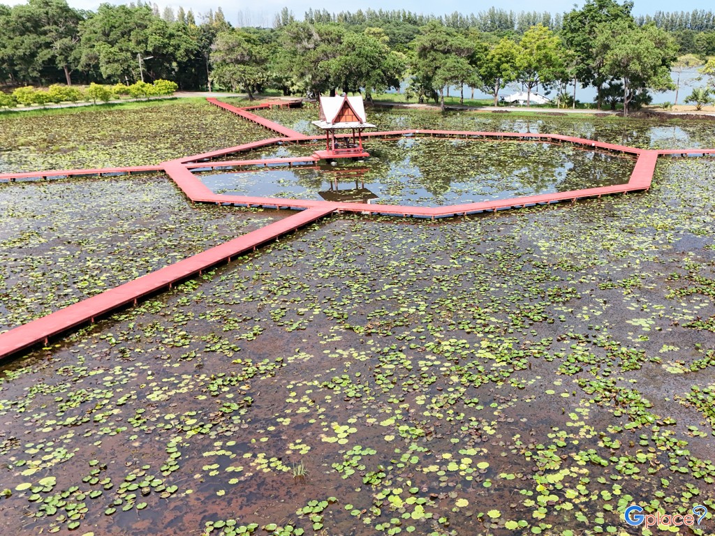 อุทยานบัว