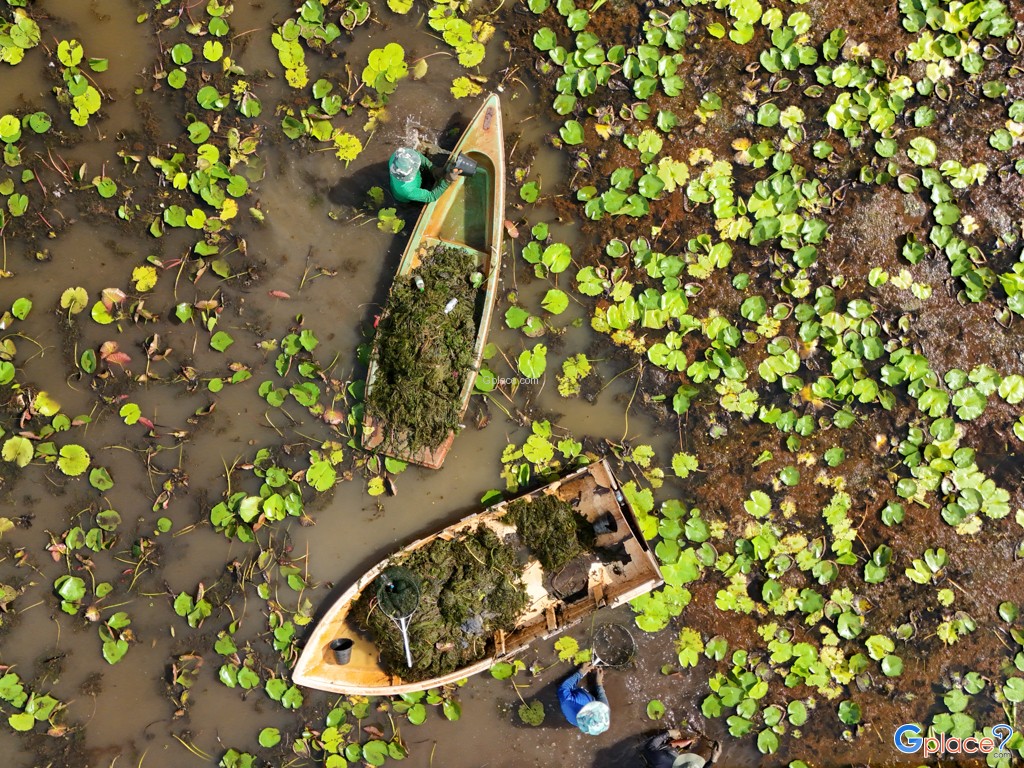 อุทยานบัว