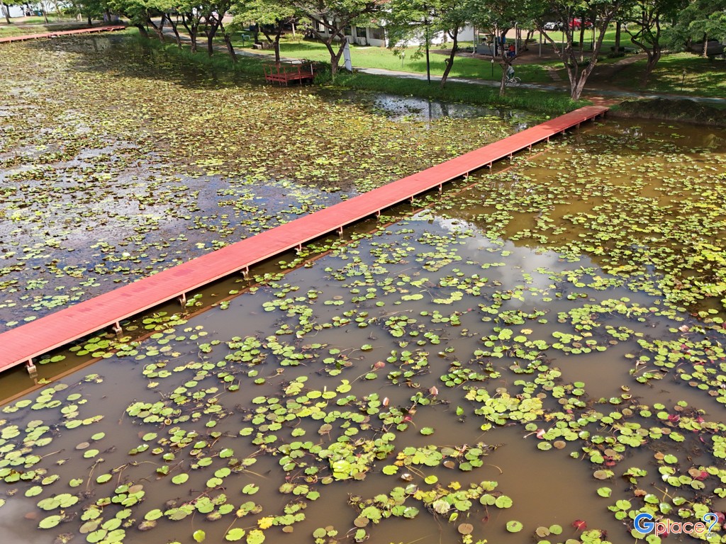 อุทยานบัว