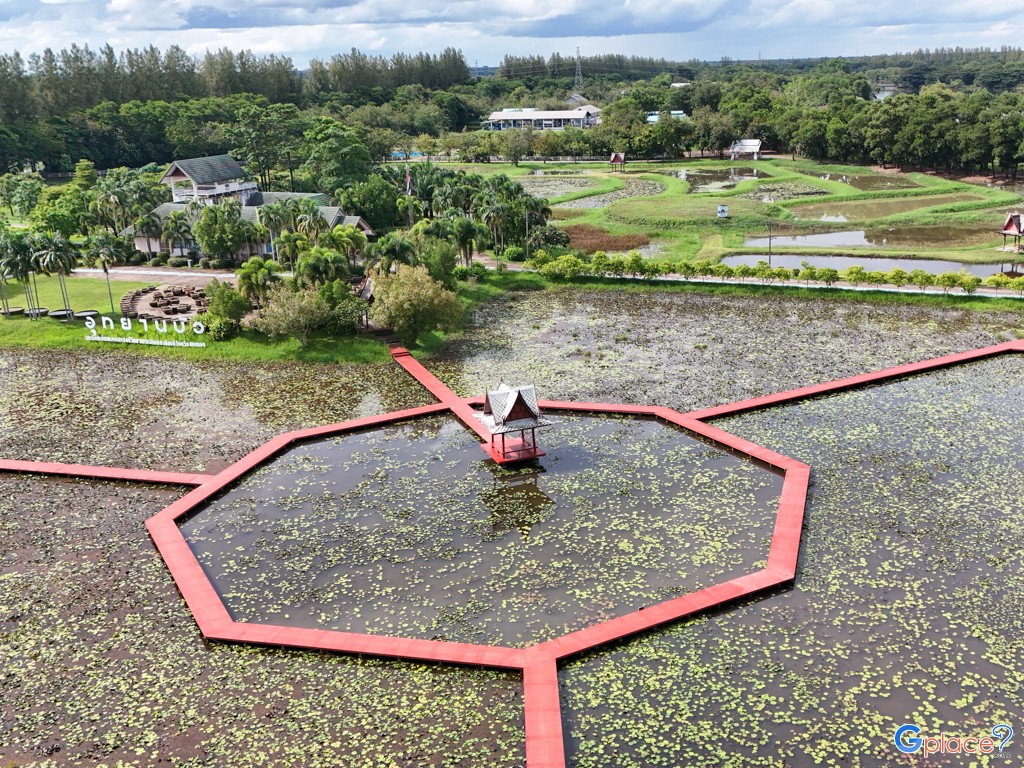 อุทยานบัว