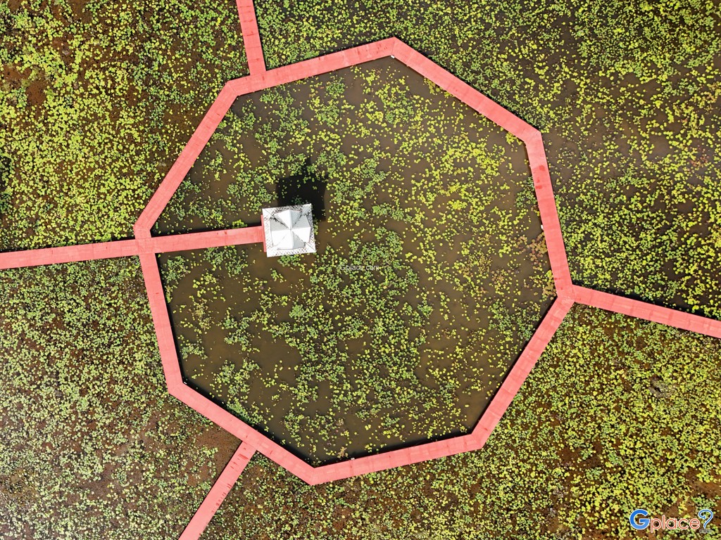 อุทยานบัว