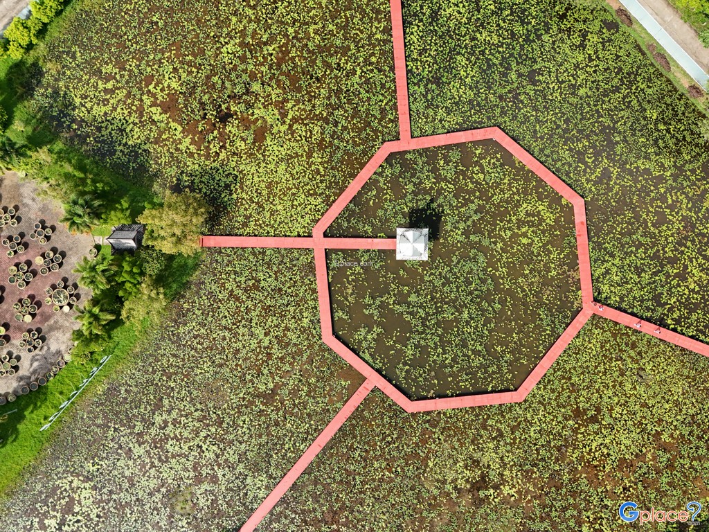 อุทยานบัว