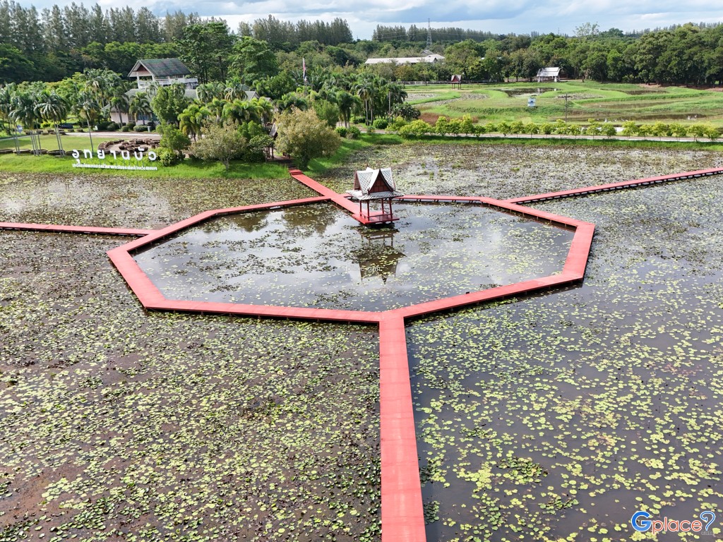 อุทยานบัว