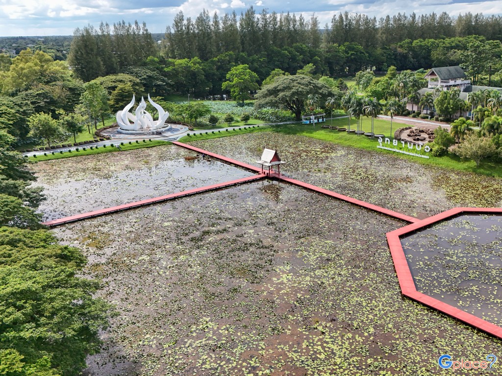 อุทยานบัว