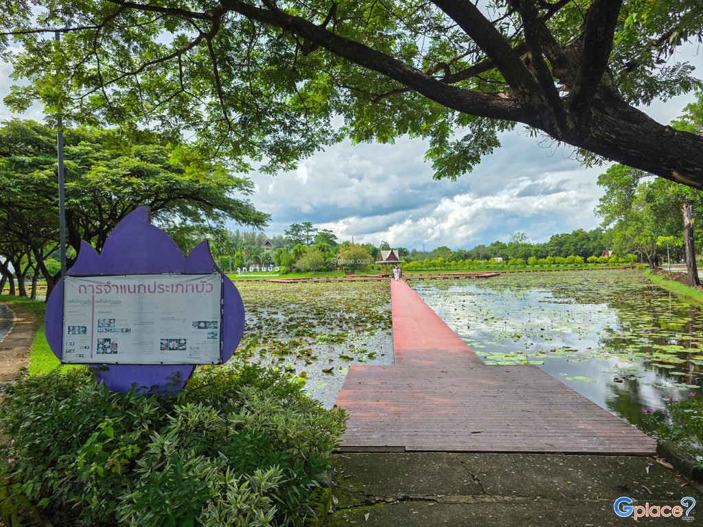 อุทยานบัว