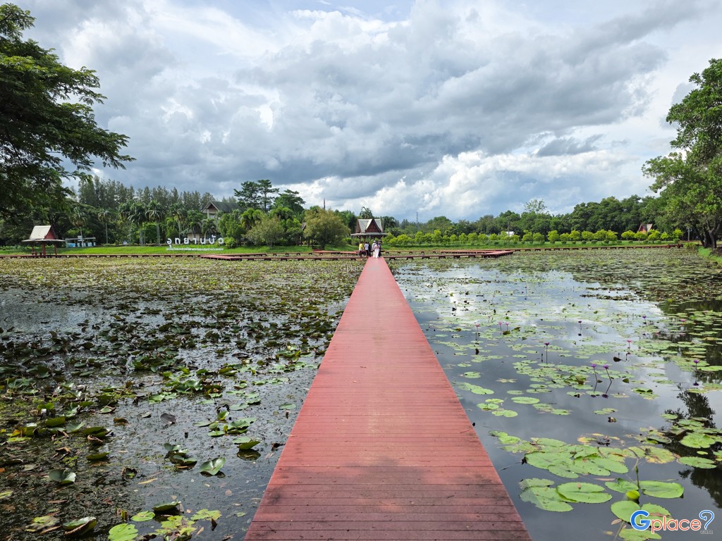 อุทยานบัว