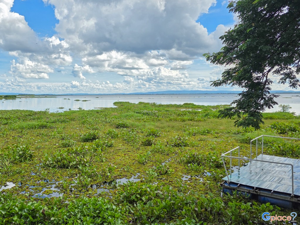 อุทยานบัว