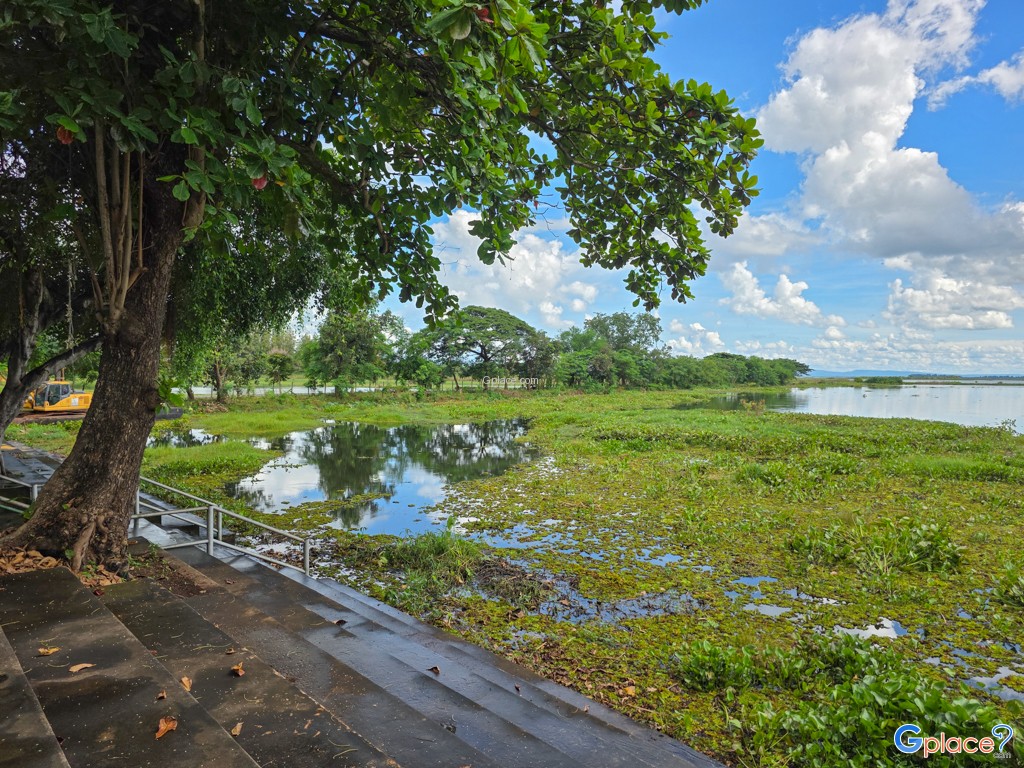 อุทยานบัว