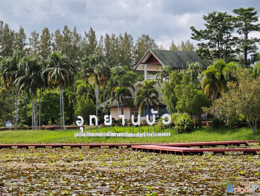 อุทยานบัว