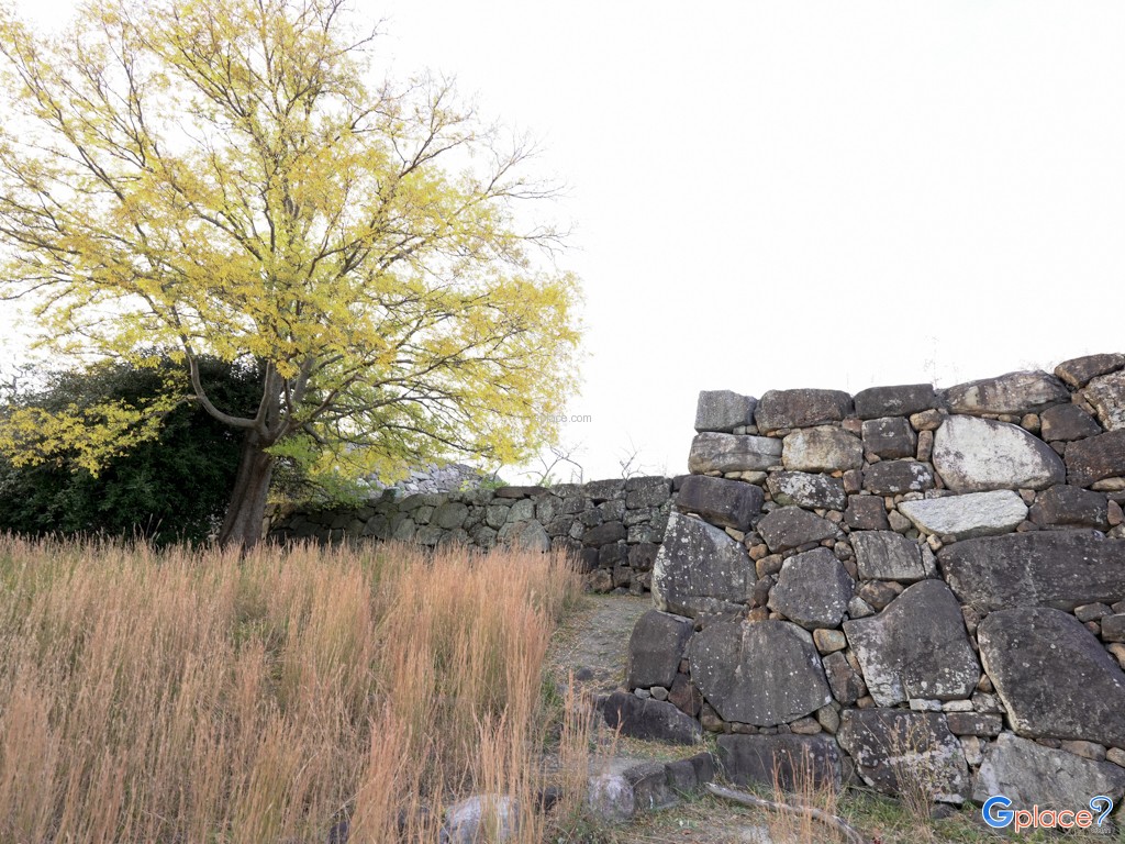Fukuoka Castle Ruins