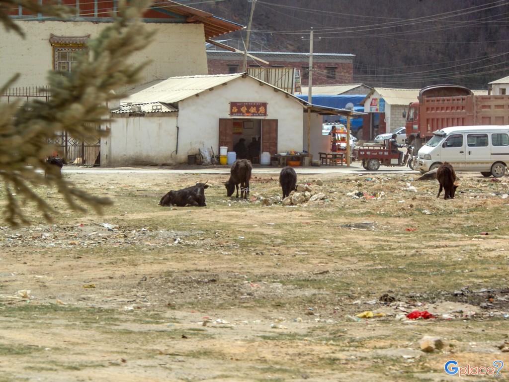 เมืองจงเตี้ยน