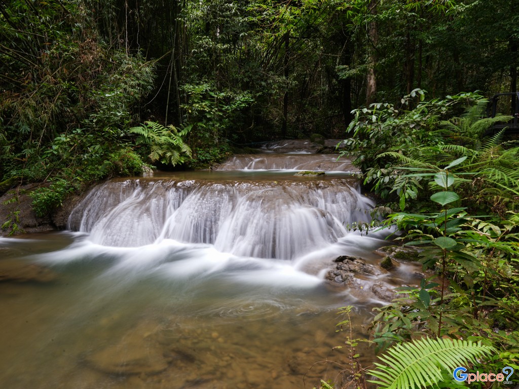 Sa Nang Manora 森林公园