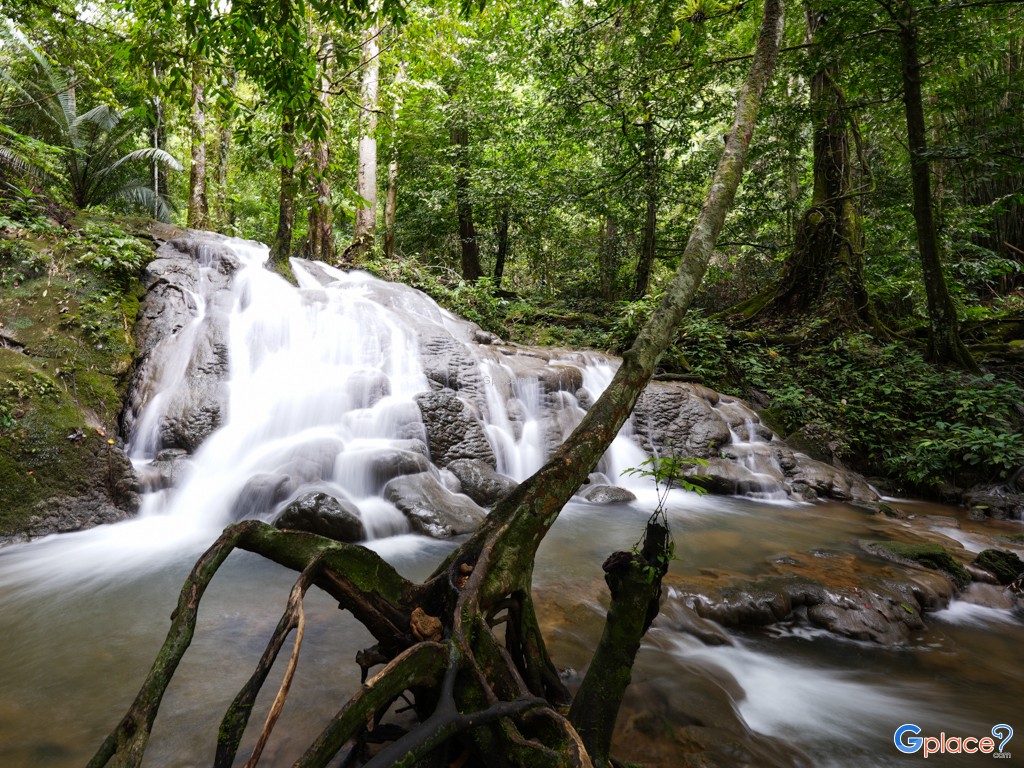 Sa Nang Manora 森林公园