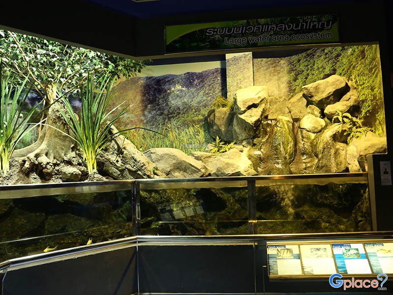 พิพิธภัณฑ์สัตว์น้ำหว้ากอ Waghor Aquarium