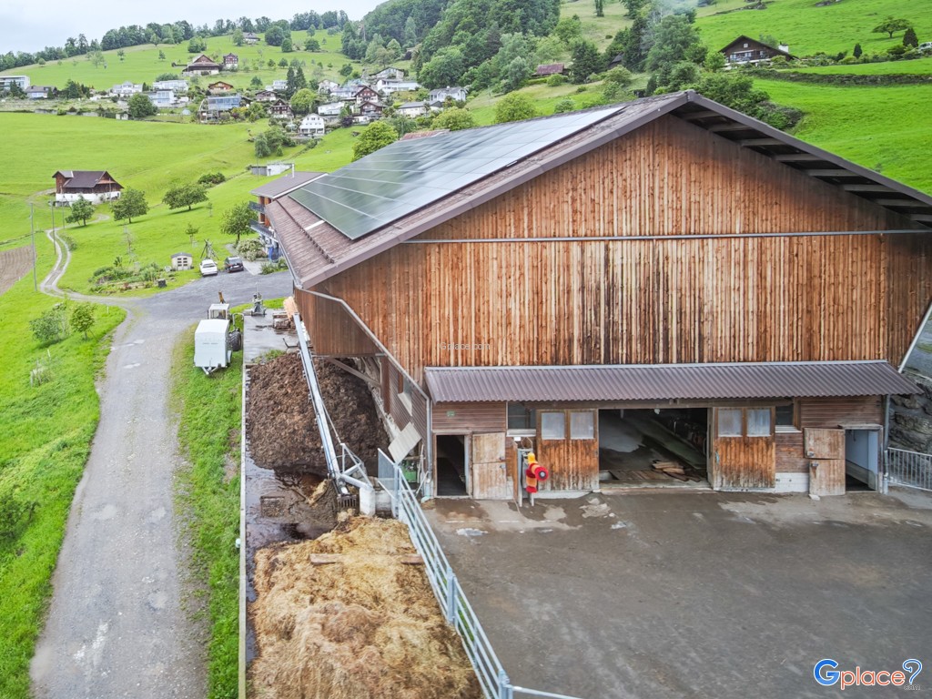 กระเช้าลอยฟ้าเวกกิส ริกิ คาลท์บาด