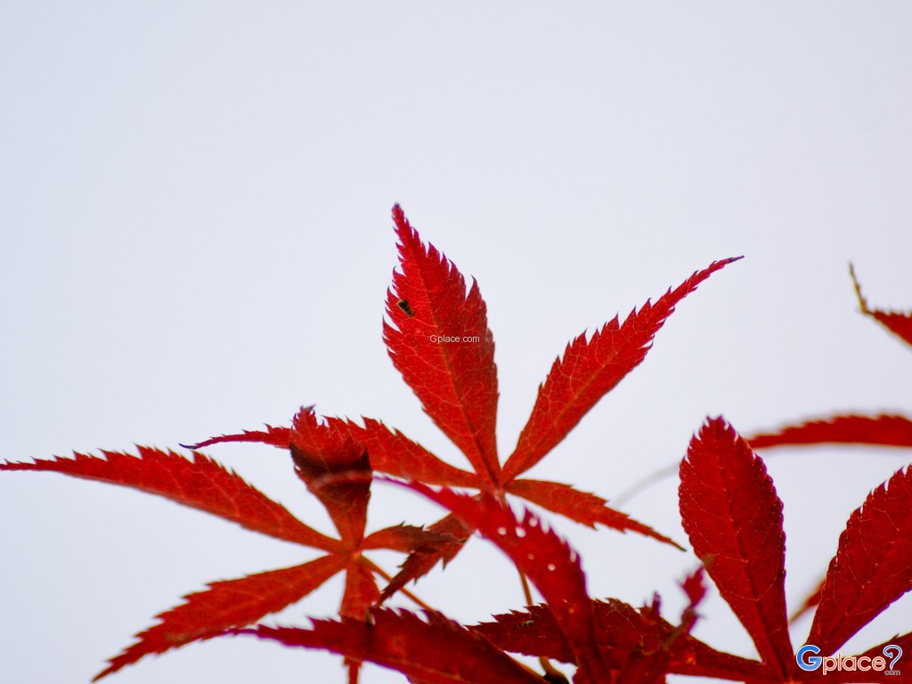 เมืองซูโจว