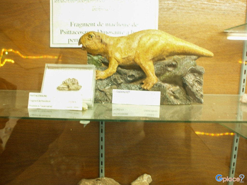 พิพิธภัณฑ์ไดโนเสาร์ สะหวันนะเขต