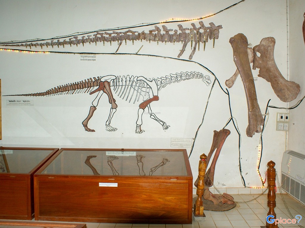 พิพิธภัณฑ์ไดโนเสาร์ สะหวันนะเขต