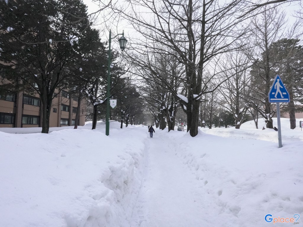 Hokkaido University