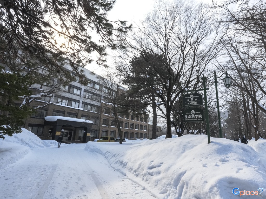Hokkaido University