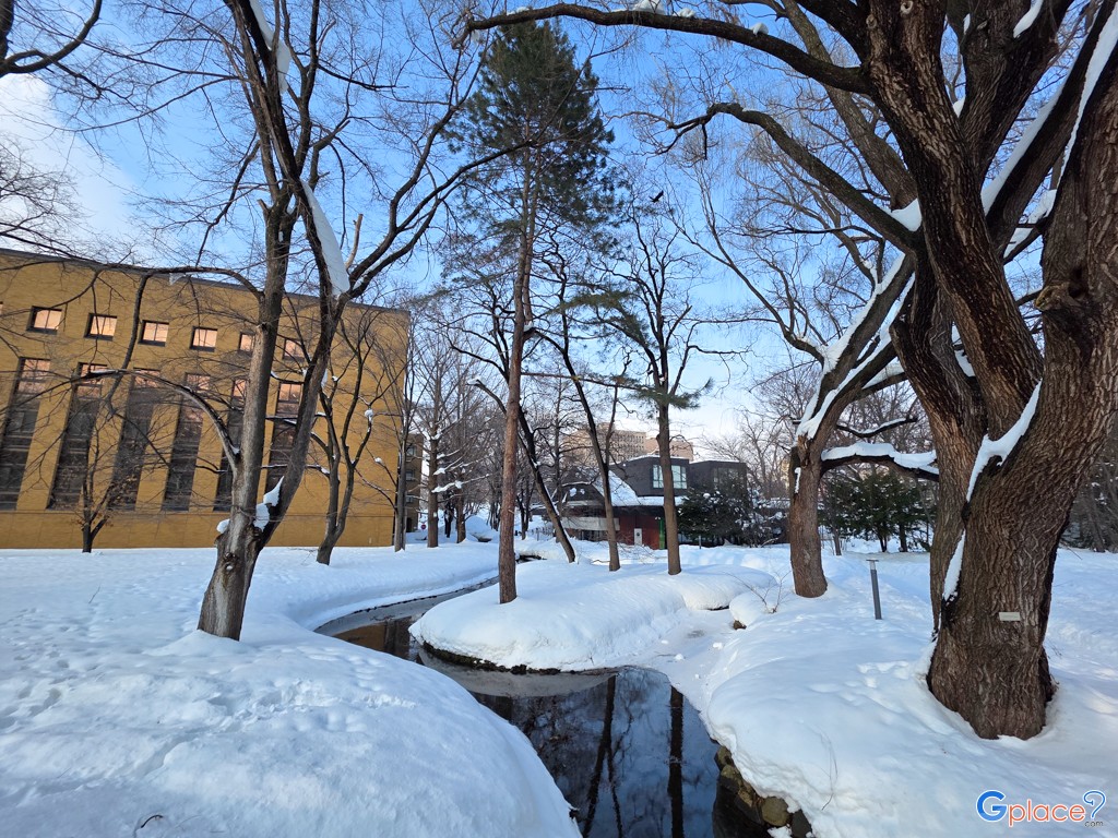Hokkaido University