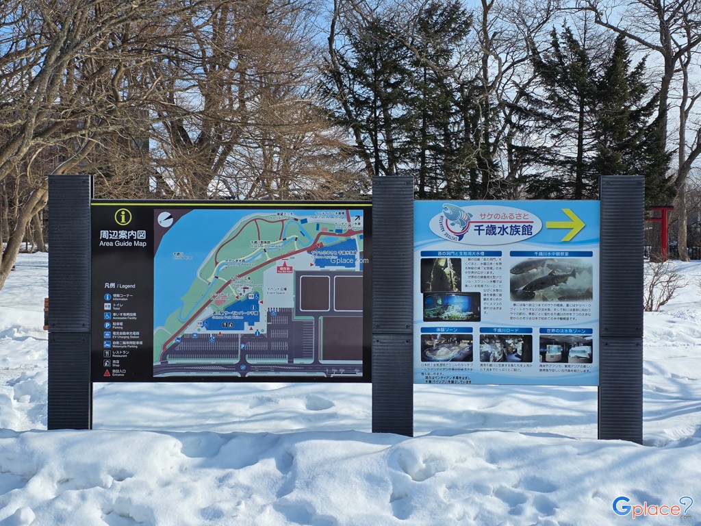 Chitose Salmon Aquarium