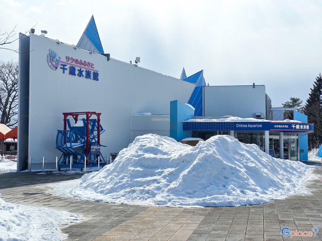 Chitose Salmon Aquarium