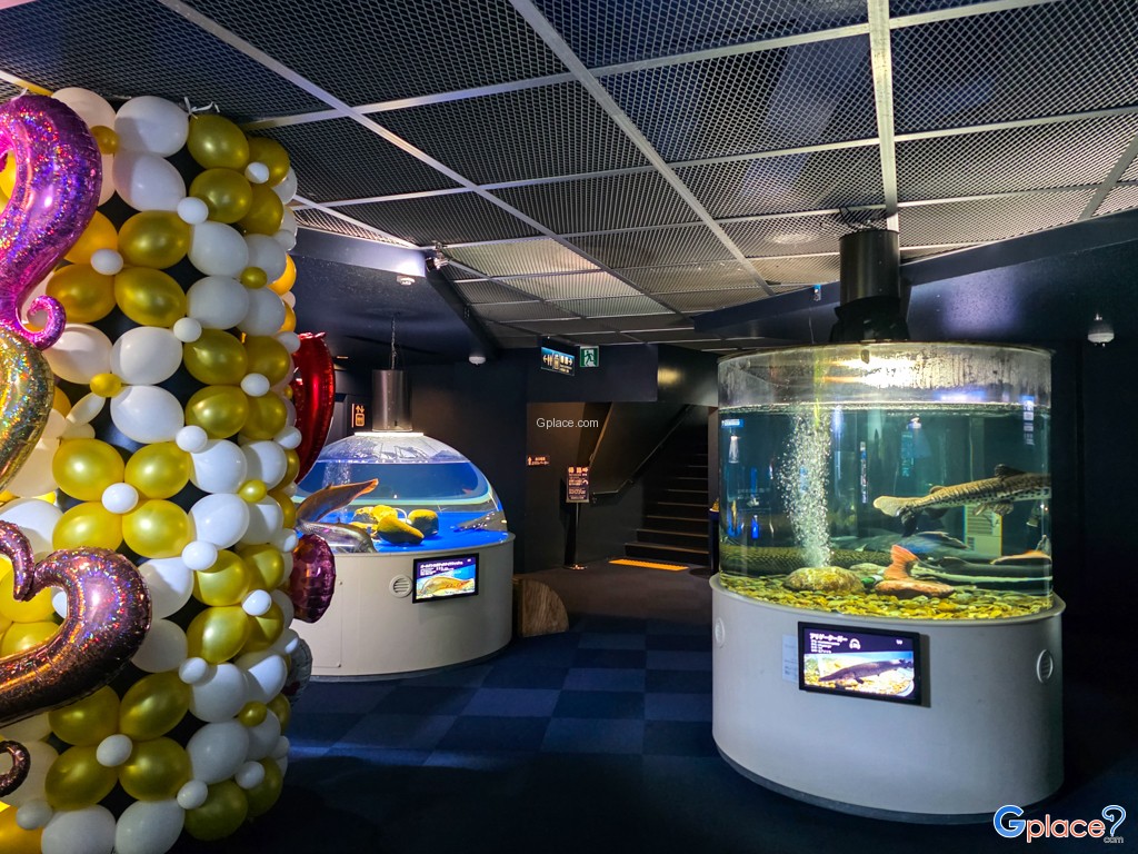 Chitose Salmon Aquarium