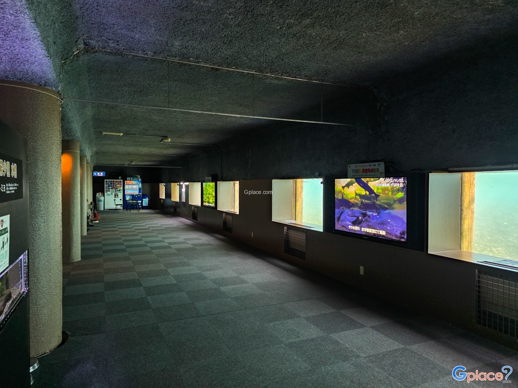Chitose Salmon Aquarium