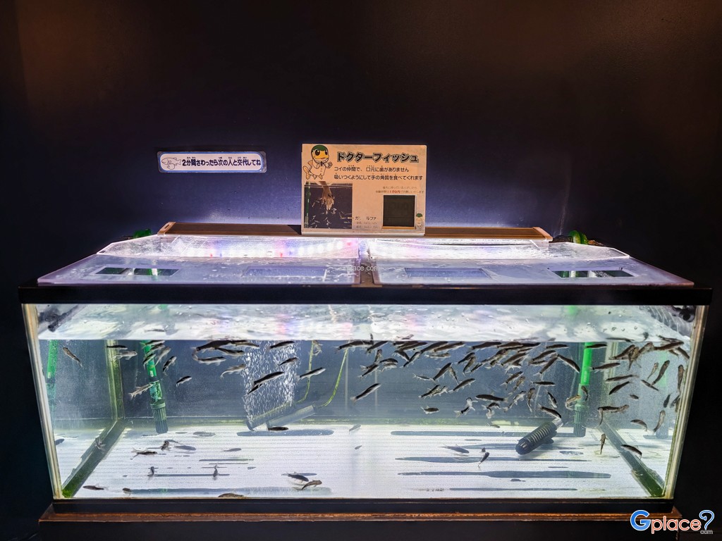 Chitose Salmon Aquarium