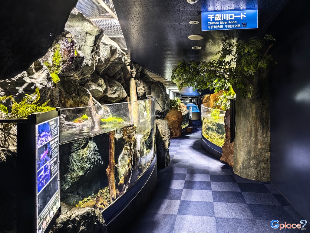 Chitose Salmon Aquarium