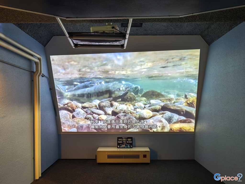 Chitose Salmon Aquarium