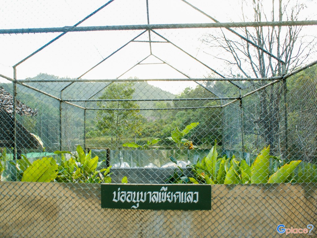 Ban Ruam Thai