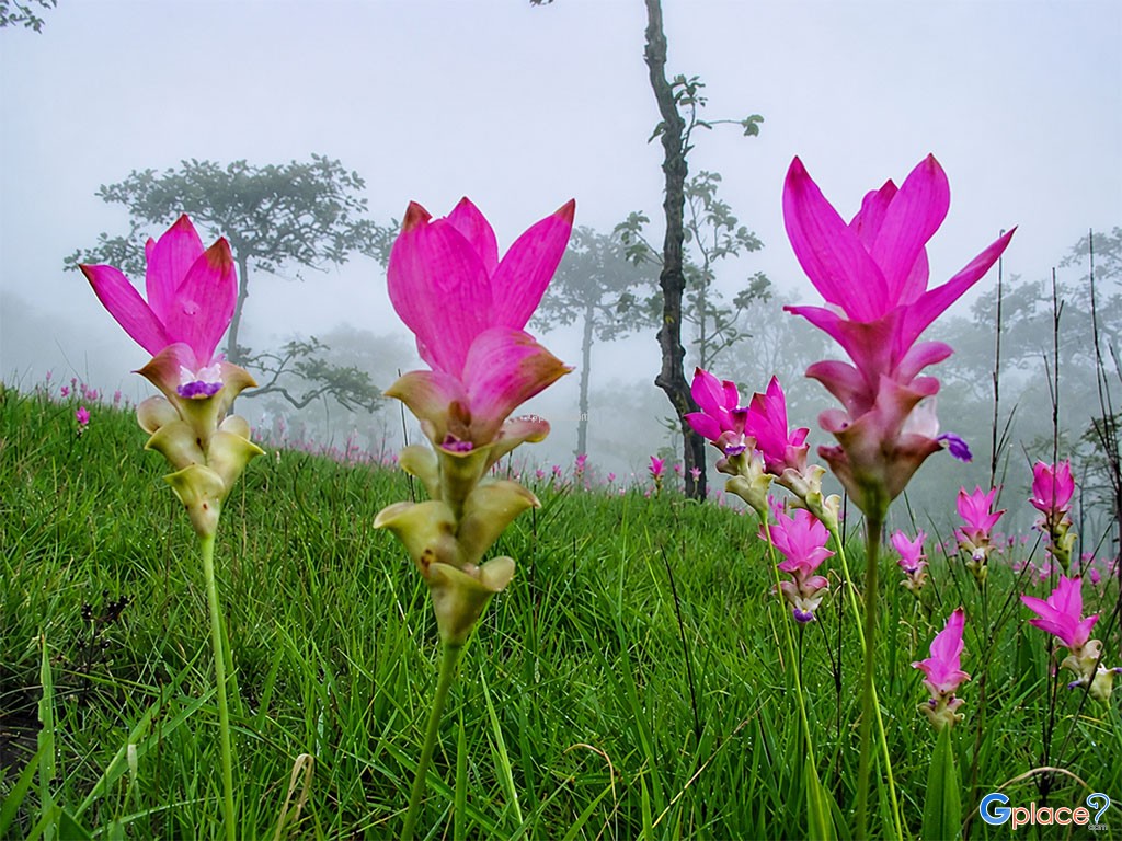 Pa Hin Ngam National Park