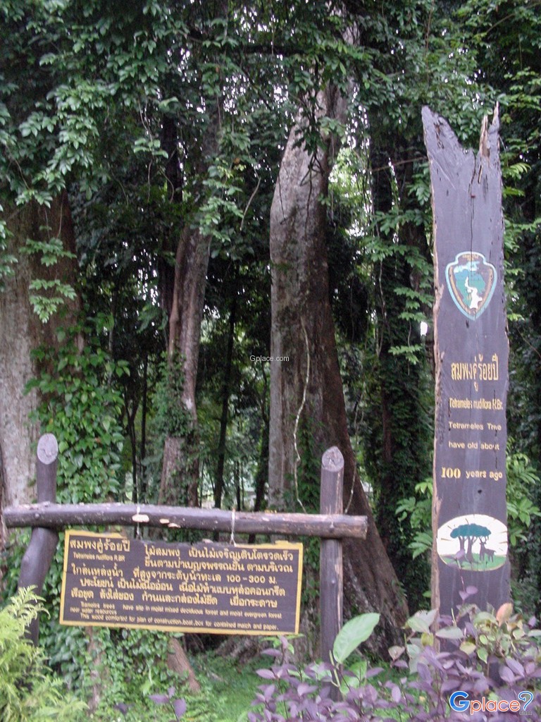 考帕侬泯乍山公园