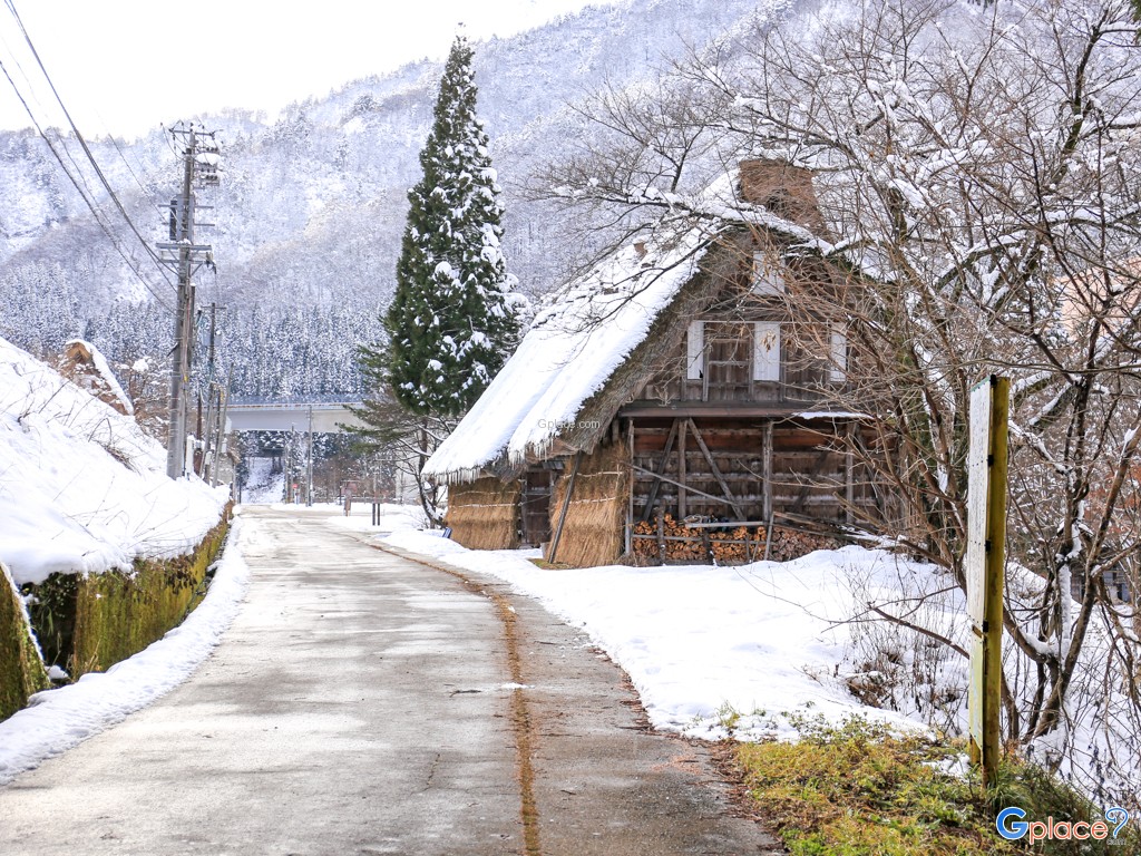 หมู่บ้านซุงานุมะ กัชโชสึคุริ  Suganuma Gassho Shuraku