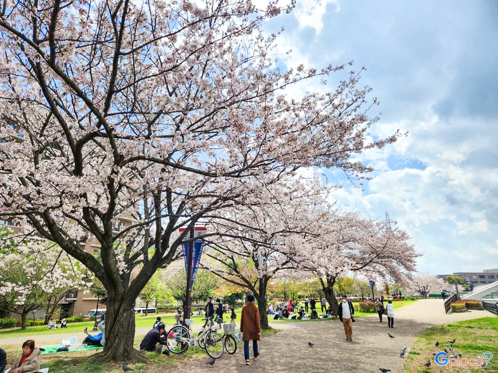 Shinyokohama Ekimae Park