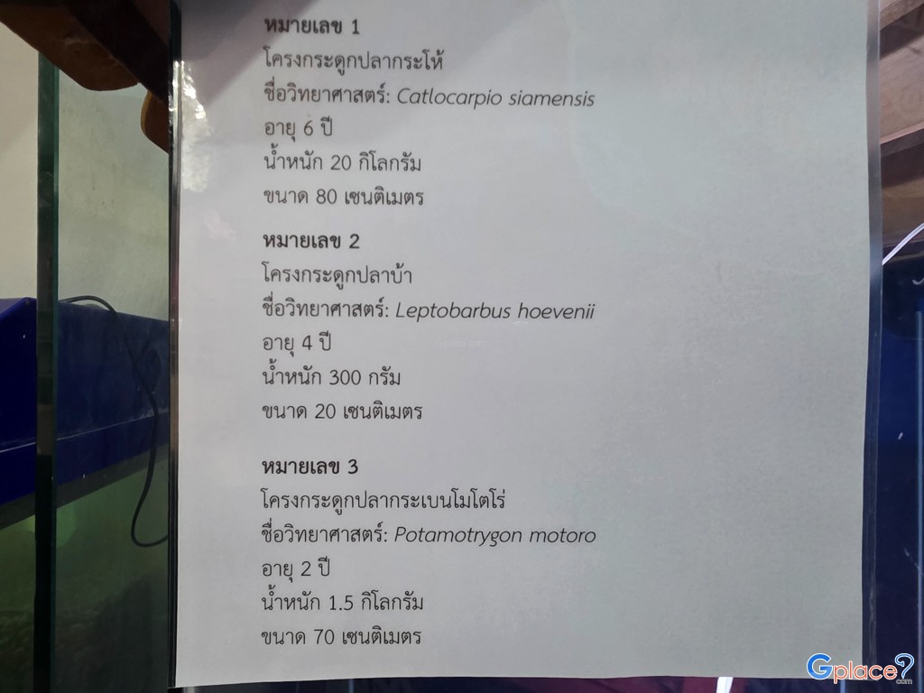 ศูนย์วิทยาศาสตร์เพื่อการศึกษานครพนม