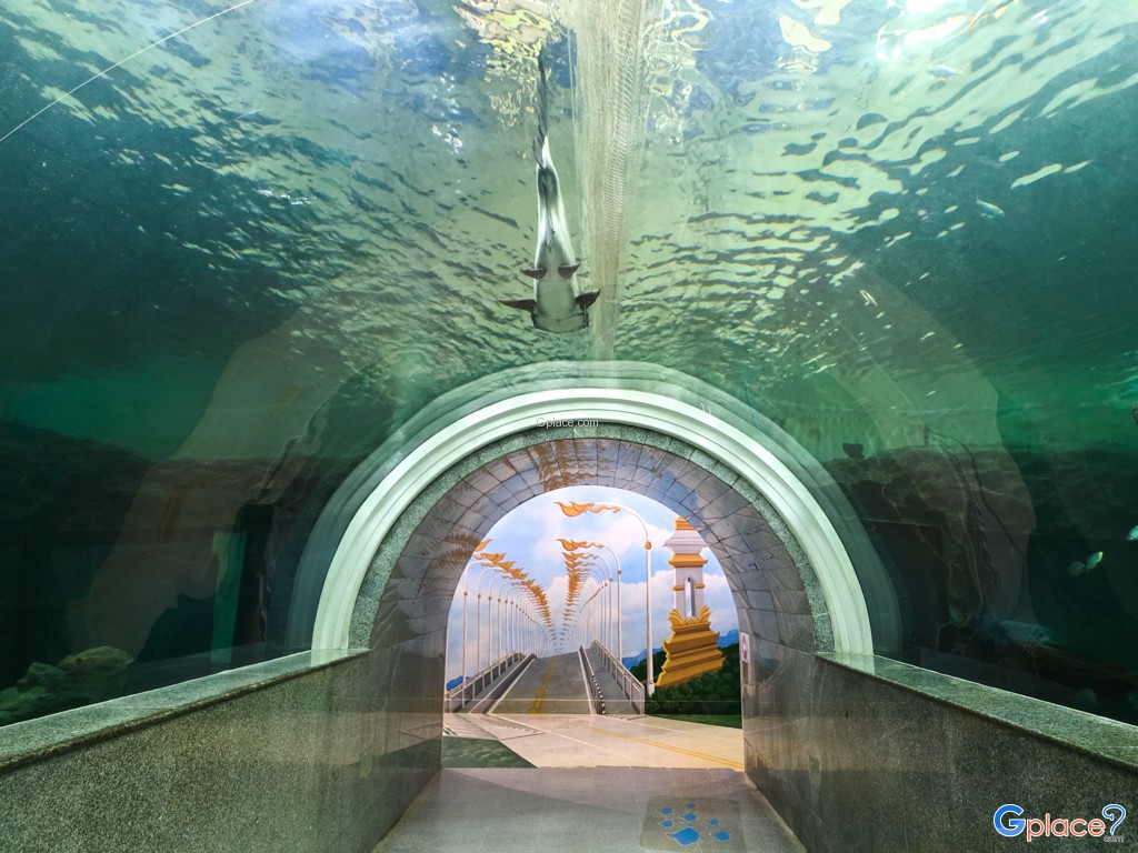 ศูนย์วิทยาศาสตร์เพื่อการศึกษานครพนม