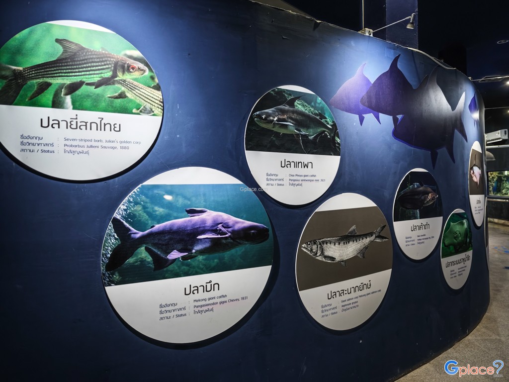 ศูนย์วิทยาศาสตร์เพื่อการศึกษานครพนม