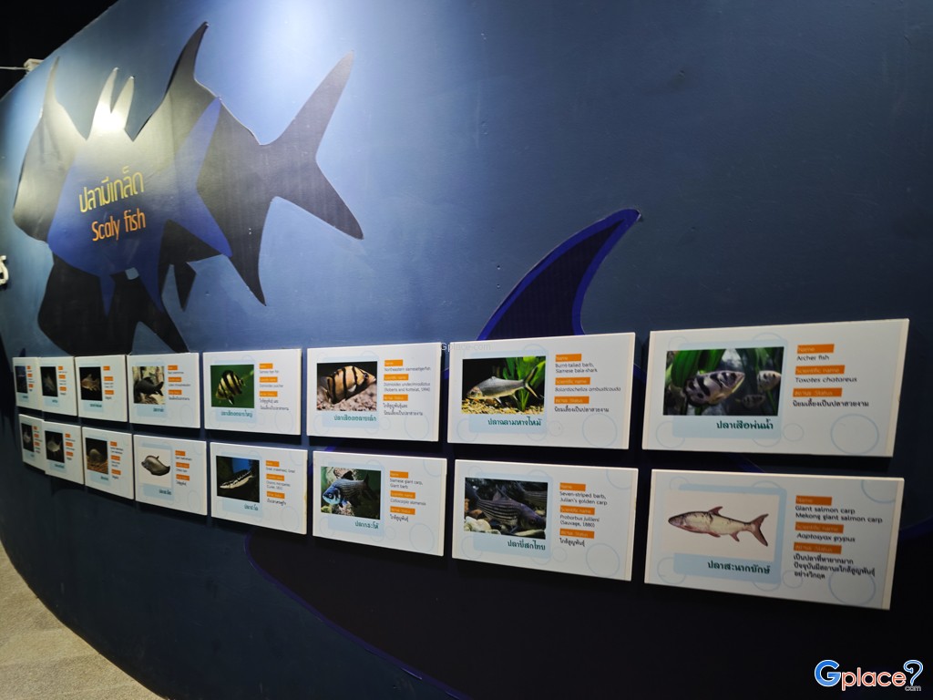 ศูนย์วิทยาศาสตร์เพื่อการศึกษานครพนม